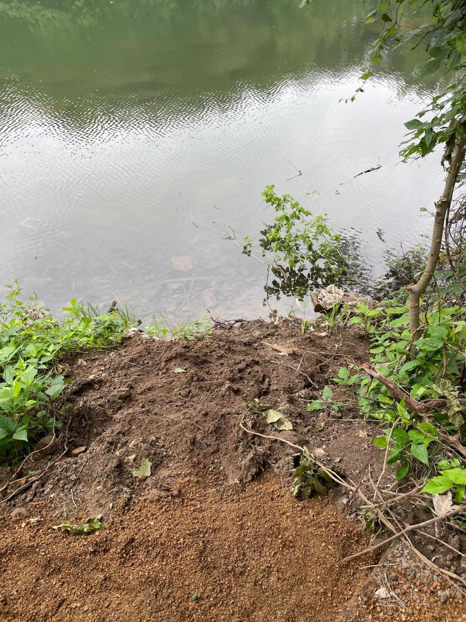 ניו בראונפלס Pet Friendly Tiny House Rental With New Access To Guadalupe River Nbtx מראה חיצוני תמונה
