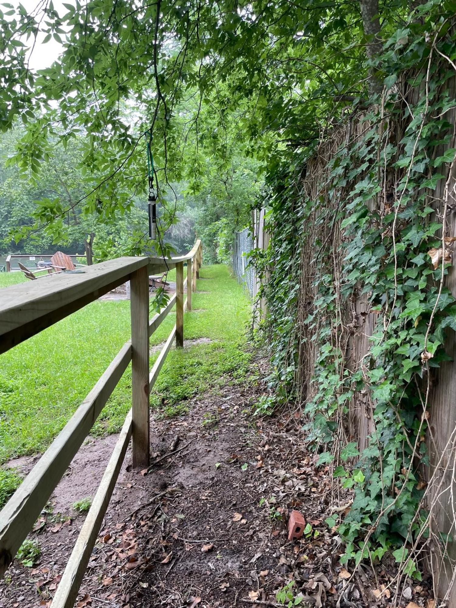 ניו בראונפלס Pet Friendly Tiny House Rental With New Access To Guadalupe River Nbtx מראה חיצוני תמונה